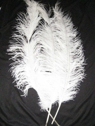 witte pietenveren