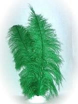 groene pietenveren