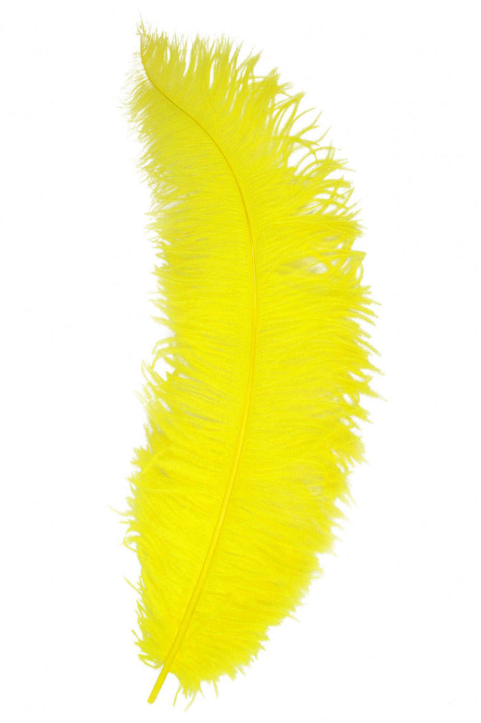 grote gele veer spadonis