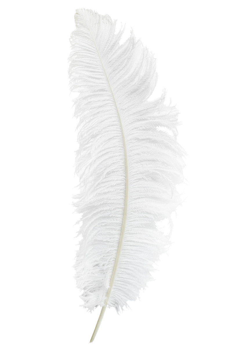 witte spadonis pietenveer