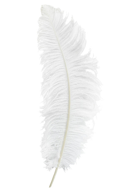 witte spadonis pietenveer