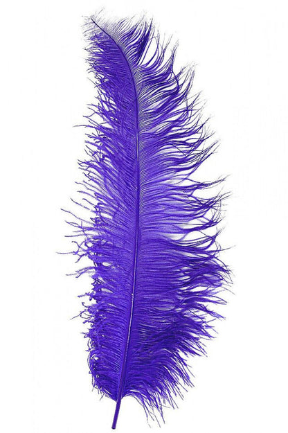 paarse pietenveer spadonis groot